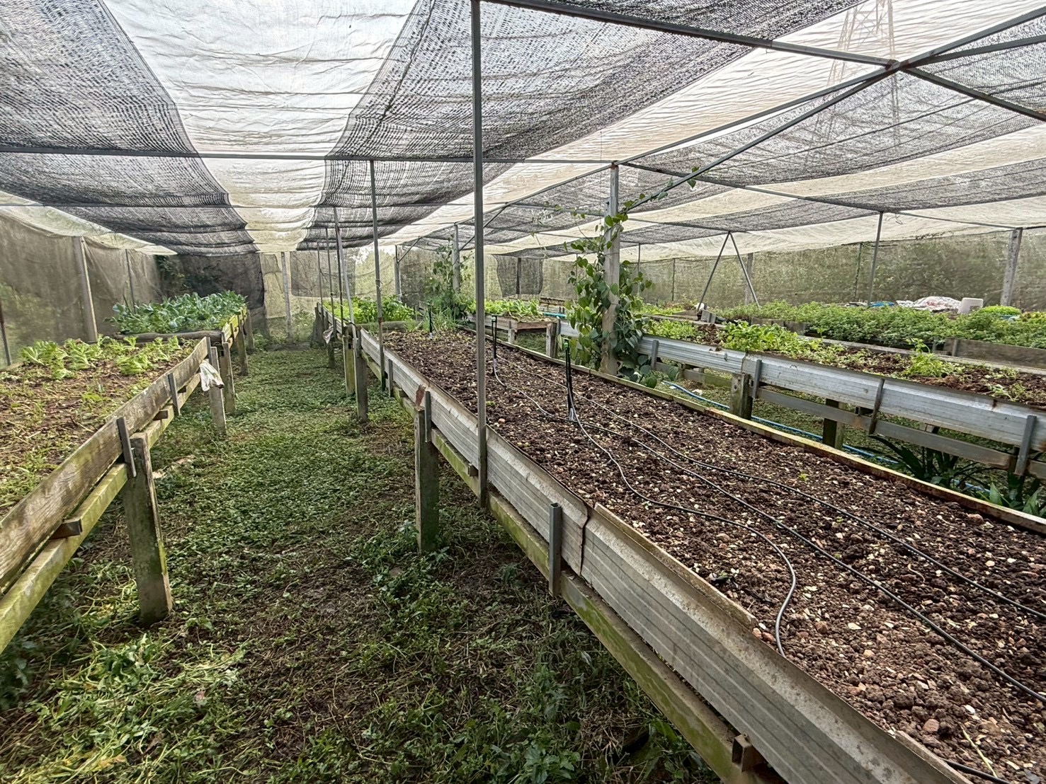 The garden where RaiSmart was installed